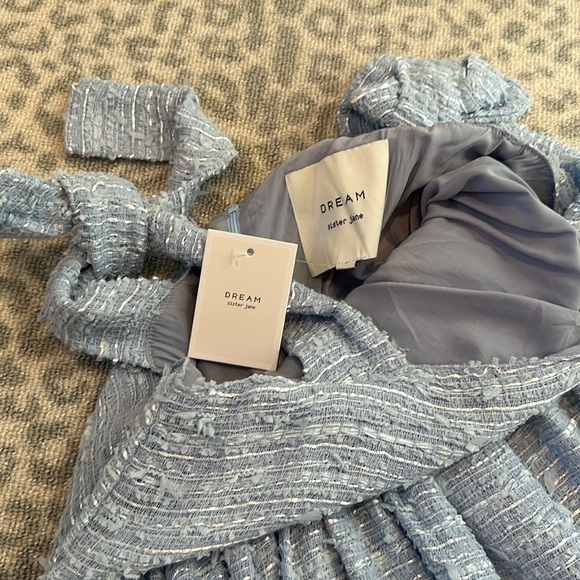 DREAM sister Jane rags to riches dress - Picture 5 of 6